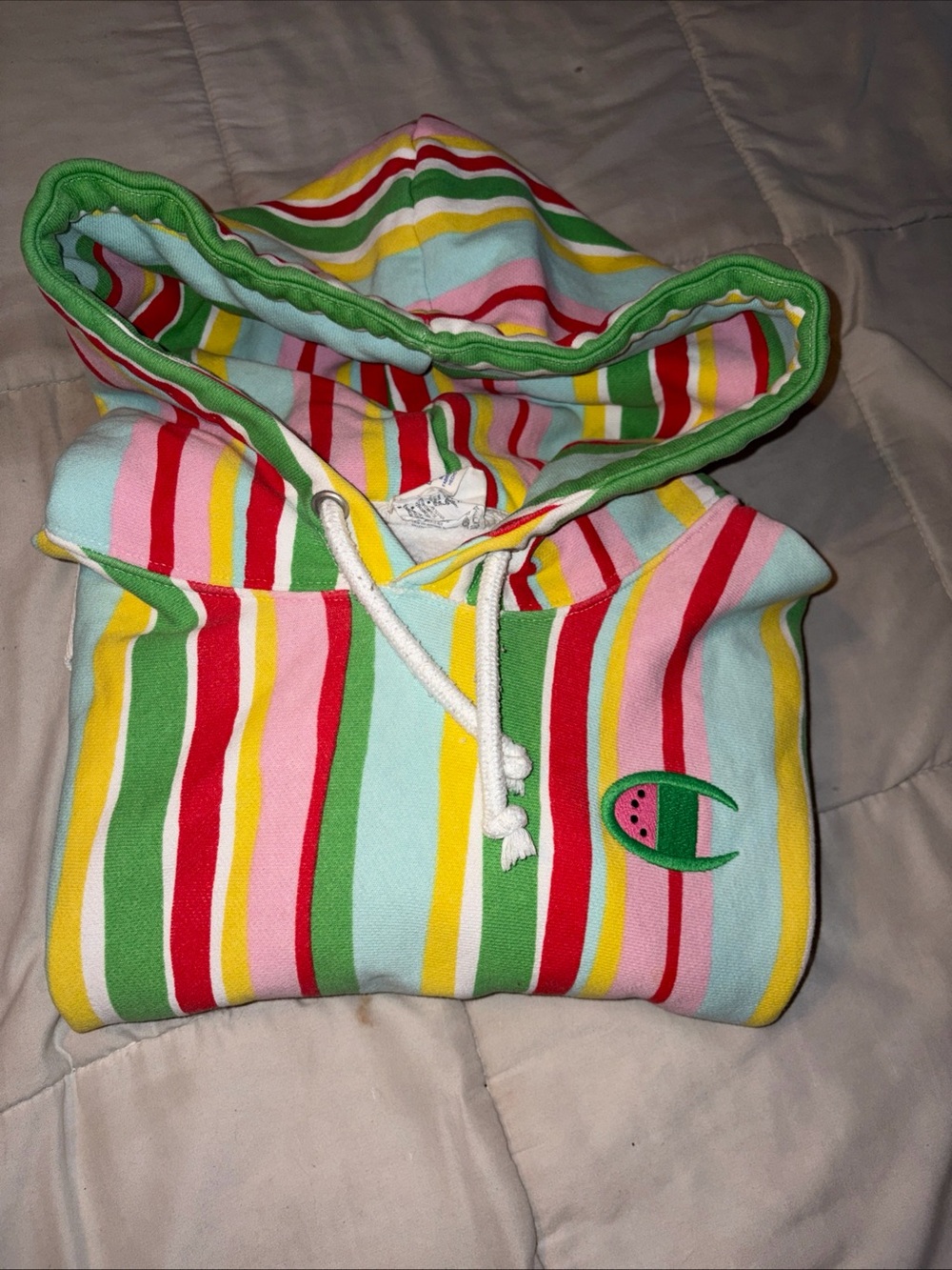 Champion Sweater Womens Medium Susan Alexandra Watermelon Reverse Weave Hoodie